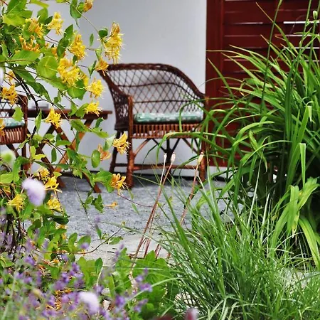 Hajenka Hrabete Buquoye Guest house 3*