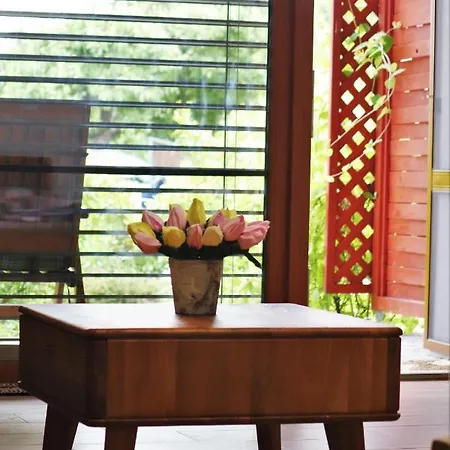 Guest house Hajenka Hrabete Buquoye Kaplice